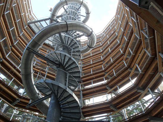 Ścieżka w koronach drzew Karkonosze